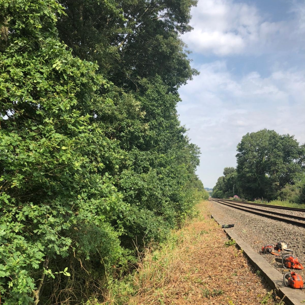 Rail clear 1