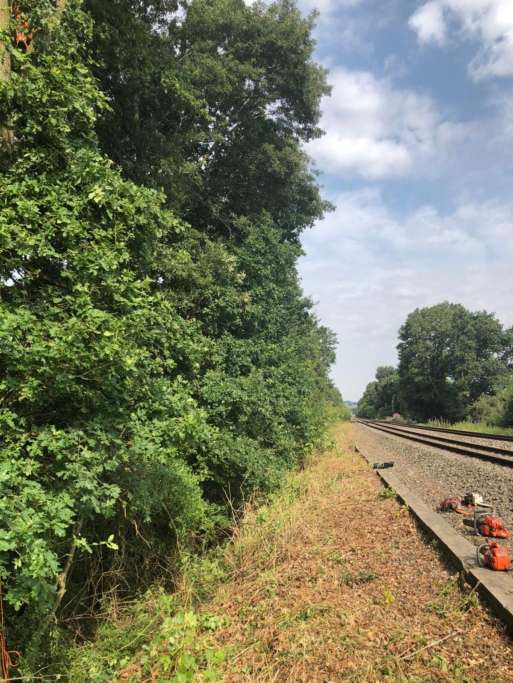 Rail clear 1