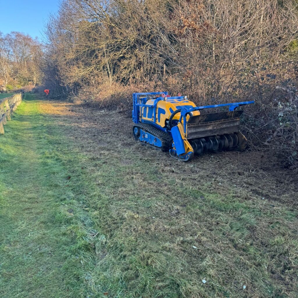 vegetation clearance