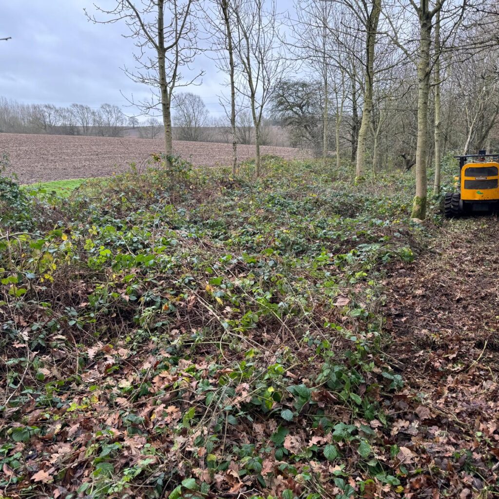 Grounds Maintenance & Private Estates